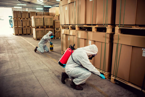 Best Cockroach Control Services  in Hemet, CA