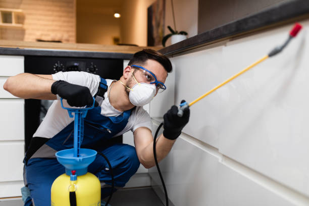 Best Cockroach Control Services  in Hemet, CA