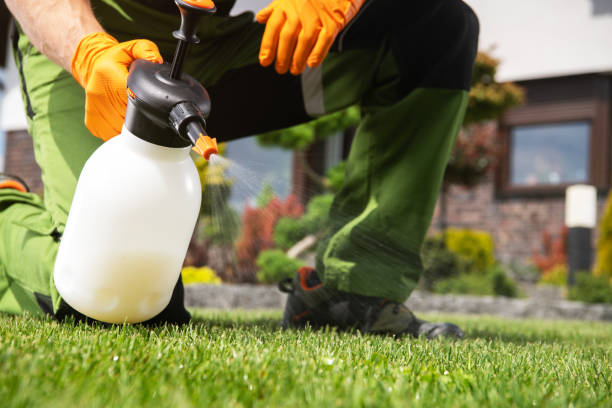 Reliable Hemet, CA Pest Control Solutions