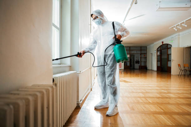 Insect Control in Hemet, CA