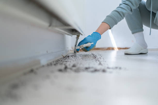 Best Pest Inspection Near Me  in Hemet, CA