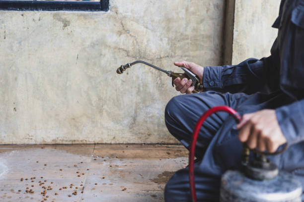 Pest Control for Restaurants in Hemet, CA
